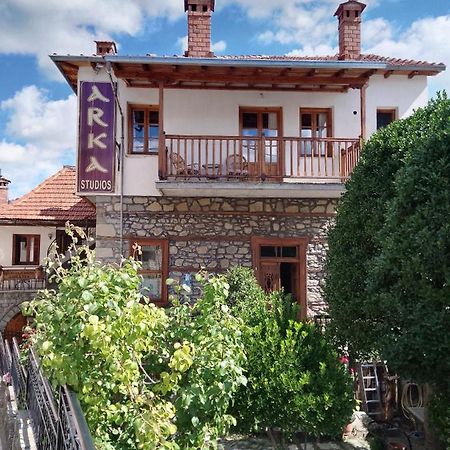 Arka Metsovo Hotel Exterior photo