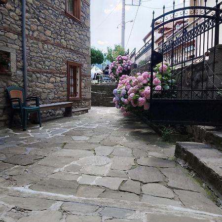 Arka Metsovo Hotel Exterior photo