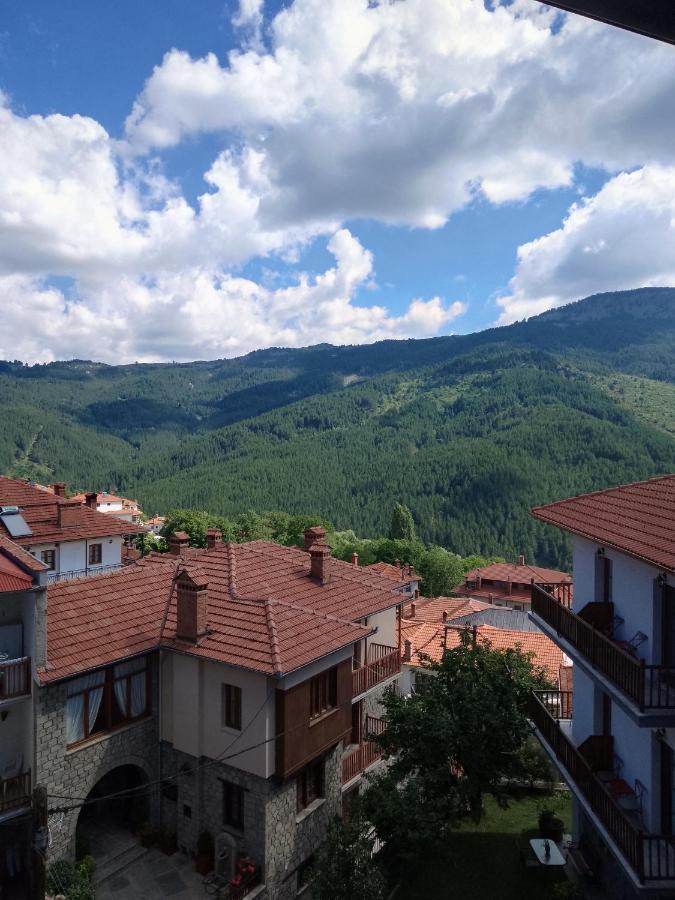 Arka Metsovo Hotel Exterior photo