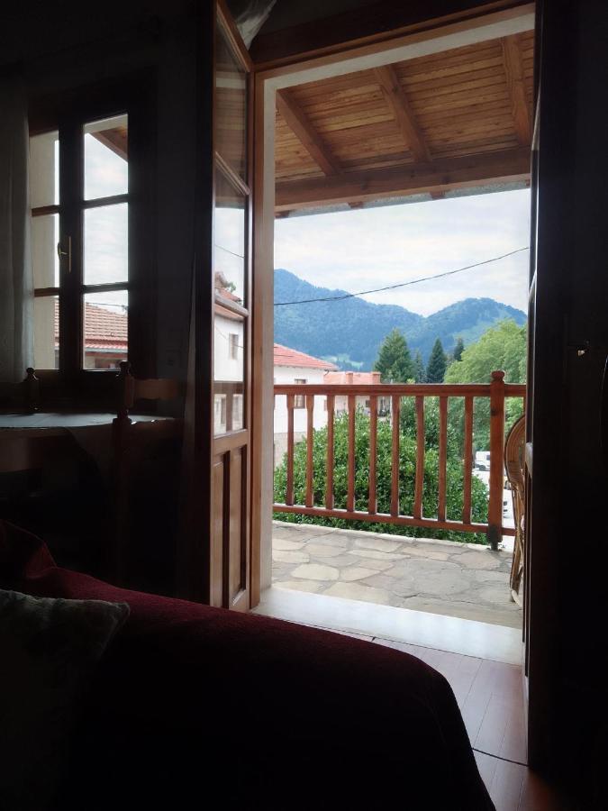 Arka Metsovo Hotel Exterior photo