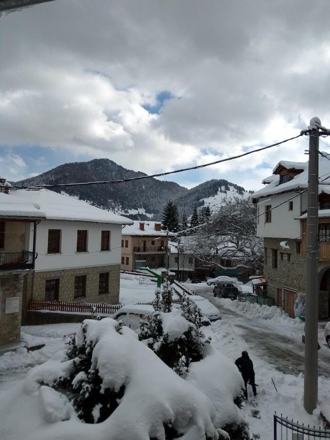 Arka Metsovo Hotel Exterior photo