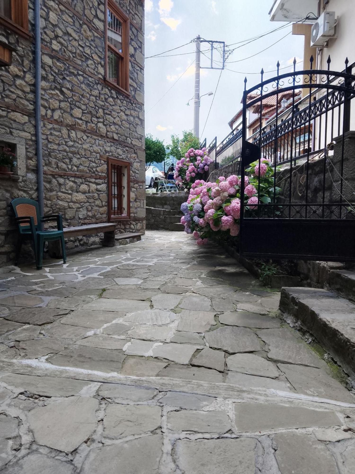 Arka Metsovo Hotel Exterior photo
